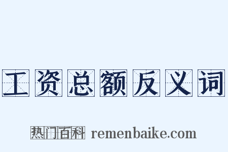 工资总额反义词是什么意思的图片